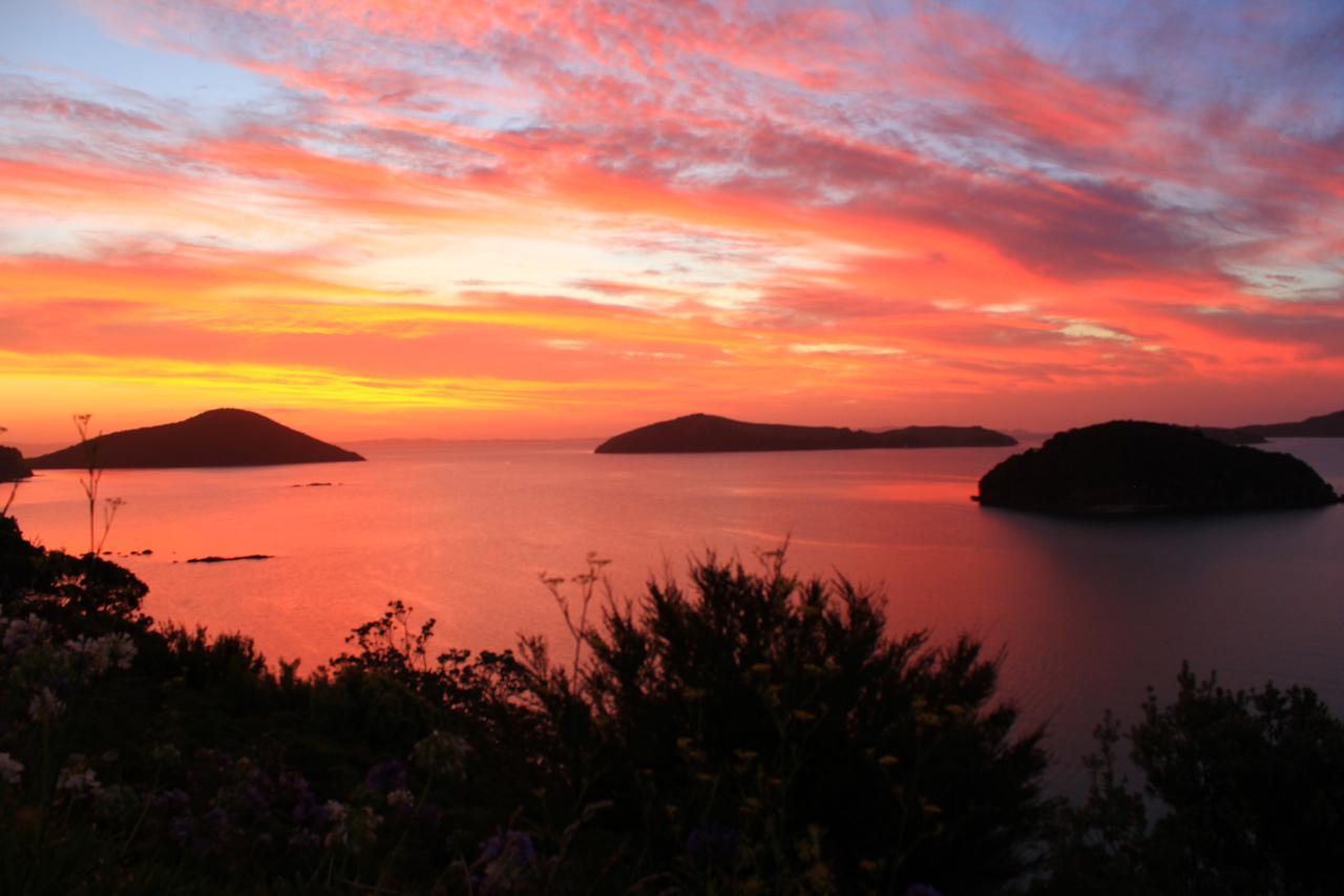 Coromandel Cottages ภายนอก รูปภาพ
