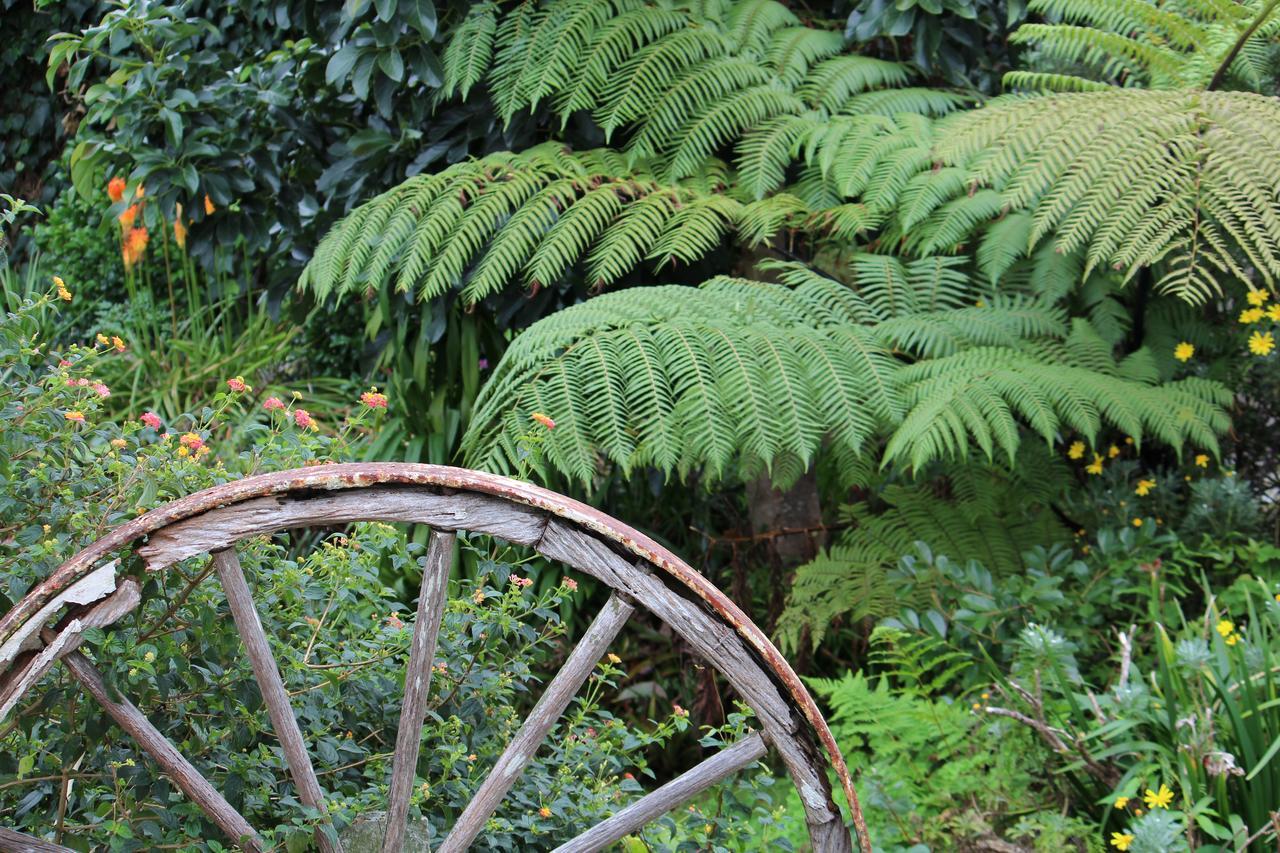 Coromandel Cottages ภายนอก รูปภาพ